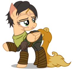Size: 890x830 | Tagged: safe, artist:doraair, artist:sweetie-madiselle, oc, oc only, oc:k.c., pegasus, pony, base used, clothes, commission, cosplay, costume, crossover, dragon age, dragon age 2, female, mare, merrill, raised hoof, solo