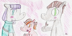 Size: 2305x1165 | Tagged: safe, artist:ptitemouette, maud pie, mudbriar, oc, oc:jean pierre, pony, g4, adopted offspring, family, father and son, female, male, mother and son, offspring, parent:maud pie, parent:mud briar, parents:maudbriar, ship:maudbriar, shipping, straight