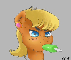 Size: 1043x882 | Tagged: safe, artist:camper, ms. harshwhinny, g4, food, popsicle, sweat