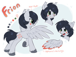Size: 1280x956 | Tagged: dead source, safe, artist:hioshiru, oc, oc only, oc:frion, pegasus, pony, colored wings, colored wingtips, facial markings, female, mare, open mouth, reference sheet, slender, solo, spread wings, thin, unshorn fetlocks, wings