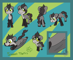 Size: 1200x1000 | Tagged: safe, artist:lilsunshinesam, oc, oc only, oc:sweet thrills, pony, gliderpon, reference sheet