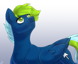 Size: 3000x2500 | Tagged: safe, artist:tigra0118, oc, oc only, pegasus, pony, high res, male, ponytail, solo, stallion
