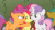 Size: 320x180 | Tagged: safe, edit, edited screencap, screencap, apple bloom, applejack, big macintosh, caramel, chancellor puddinghead, cheerilee, commander hurricane, cup cake, daring do, diamond tiara, discord, donut joe, fluttershy, gustave le grande, iron will, linky, meadow song, mr. zippy, mulia mild, pinkie pie, rainbow dash, sassaflash, scootaloo, shoeshine, silver spoon, smart cookie, snails, snips, sweetie belle, tank, twilight sparkle, twist, alicorn, big cat, changeling, draconequus, earth pony, falcon, griffon, pegasus, pony, tiger, unicorn, a canterlot wedding, baby cakes, g4, hearth's warming eve (episode), hearts and hooves day (episode), it's about time, luna eclipsed, may the best pet win, mmmystery on the friendship express, putting your hoof down, read it and weep, season 2, sweet and elite, the last roundup, the return of harmony, absurd file size, absurd gif size, angry, animated, bloodshot eyes, boop, boop compilation, clothes, compilation, cutie mark crusaders, disguise, disguised changeling, eye contact, eye shimmer, eyes closed, female, floppy ears, flying, frown, gif, glare, glasses, grin, gritted teeth, helmet, hoof hold, looking at each other, mailpony, male, mare, nose in the air, nose wrinkle, noseboop, nuzzling, on back, open mouth, personal space invasion, scared, scrunchy face, smiling, spread wings, squee, stallion, supercut, talking, tree, underhoof, wall of tags, wide eyes, wings, worried