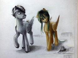 Size: 1280x950 | Tagged: safe, artist:sapraitlond, oc, oc only, cat, pegasus, pony, traditional art, walking