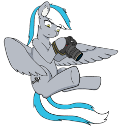 Size: 720x750 | Tagged: safe, oc, oc only, oc:antimony, pegasus, pony, 2019 community collab, derpibooru community collaboration, camera, flying, simple background, solo, transparent background