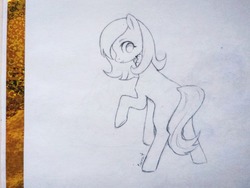 Size: 1280x960 | Tagged: safe, artist:sapraitlond, oc, oc only, bird, earth pony, pony, female, looking back, mare, monochrome, raised hoof, sketch, traditional art