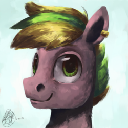 Size: 2000x2000 | Tagged: safe, artist:toisanemoif, oc, oc only, pony, bust, high res, looking at you, portrait, smiling, solo