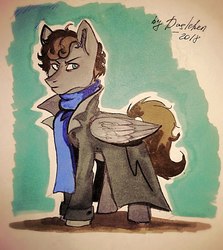 Size: 1057x1183 | Tagged: safe, artist:das_leben, pegasus, pony, bbc sherlock, benedict cumberbatch, clothes, coat, male, ponified, scarf, sherlock, sherlock holmes, solo, stallion, traditional art