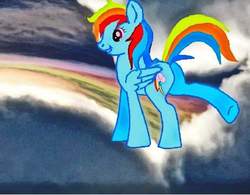 Size: 900x703 | Tagged: safe, artist:leandrovalhalla, rainbow dash, pony, g4, female, loyalty, needs more jpeg, solo