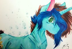 Size: 1024x698 | Tagged: safe, artist:scootiegp, oc, oc only, pony, unicorn, bust, looking at you, male, portrait, signature, simple background, smiling, solo, stallion, traditional art, white background