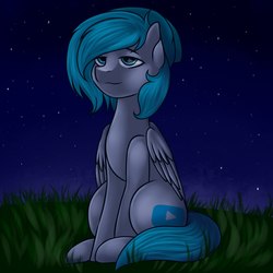 Size: 2160x2160 | Tagged: safe, artist:romablueberry, oc, oc only, pegasus, pony, grass, high res, lidded eyes, night, sitting, solo, stars