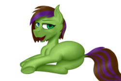 Size: 1024x683 | Tagged: safe, artist:recordmelodie, oc, oc only, oc:ferb, earth pony, pony, butt, heterochromia, looking at you, looking back, plot, simple background, solo, transparent background