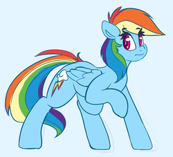 Size: 1131x1028 | Tagged: safe, artist:graphene, rainbow dash, pony, g4, blue background, cute, female, looking at you, simple background, solo, standing
