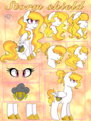 Size: 2832x3776 | Tagged: artist needed, safe, oc, oc only, oc:storm shield, pegasus, pony, high res, horse shoes, reference sheet, solo