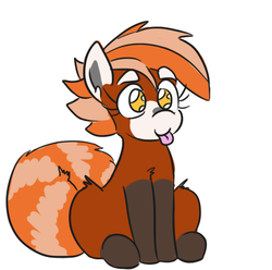 Size: 459x455 | Tagged: safe, artist:jargon scott, oc, oc only, oc:pandy cyoot, original species, red panda, red panda pony, :p, cute, female, silly, simple background, sitting, solo, tongue out, white background