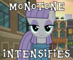 Size: 1400x1144 | Tagged: safe, edit, edited screencap, screencap, daisy, flower wishes, goldengrape, maud pie, sir colton vines iii, earth pony, pony, g4, the gift of the maud pie, clothes, dress, female, looking at you, meme, solo focus, text, x intensifies