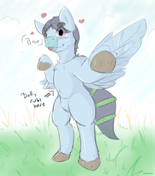 Size: 1250x1412 | Tagged: safe, artist:fuzzypones, oc, oc only, oc:still waters, pegasus, pony, belly button, boop, chest fluff, dialogue, male, solo, spread wings, standing, tongue out, unshorn fetlocks, wings