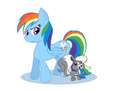 Size: 2592x1936 | Tagged: safe, artist:xrainbowicecreamx, rainbow dash, pegasus, pony, skunk, g4, animal, crossover, female, littlest pet shop, pepper clark, simple background, smiling, transparent background