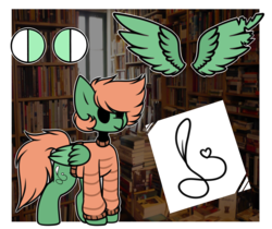 Size: 4603x3867 | Tagged: safe, artist:umiimou, oc, oc only, oc:zane, pegasus, pony, absurd resolution, book, bookshelf, chibi, clothes, male, reference sheet, solo, stallion, sweater