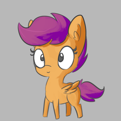 Size: 1650x1650 | Tagged: safe, artist:tjpones, scootaloo, pegasus, pony, g4, colored sketch, cute, cutealoo, ear fluff, female, filly, gray background, simple background, smiling, solo