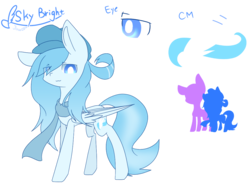 Size: 1024x768 | Tagged: safe, artist:jisuppe, oc, oc only, oc:sky bright, pegasus, pony, clothes, female, hat, mare, reference sheet, scarf, simple background, solo, transparent background