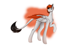 Size: 13044x7581 | Tagged: safe, artist:ggchristian, oc, oc only, oc:jaiden, pegasus, pony, absurd resolution, colored wings, male, multicolored wings, raised hoof, solo, stallion