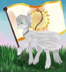 Size: 1280x1400 | Tagged: safe, oc, oc only, oc:light knight, pony, flag, grass, male, solo, stallion