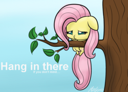 Size: 1024x741 | Tagged: safe, artist:mimicproductions, fluttershy, pegasus, pony, g4, chibi, cute, female, hang in there, hanging, mare, shyabetes, solo, tree, tree branch