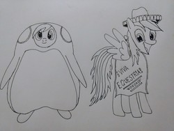 Size: 4608x3456 | Tagged: safe, artist:penguin_lover89, derpy hooves, rainbow dash, pegasus, pony, g4, animal costume, bird costume, clothes, costume, duo, duo female, female, halloween, holiday, mexican, monochrome, penguin costume, traditional art