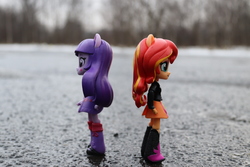 Size: 6000x4000 | Tagged: safe, artist:artofmagicpoland, sunset shimmer, twilight sparkle, equestria girls, g4, doll, equestria girls minis, female, game a like photo, lesbian, ship:sunsetsparkle, shipping, toy