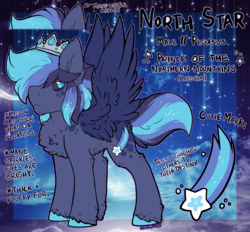 Size: 2382x2210 | Tagged: safe, artist:php166, oc, oc only, oc:north star, pegasus, pony, cutie mark, freckles, high res, male, reference sheet, solo, text, unshorn fetlocks