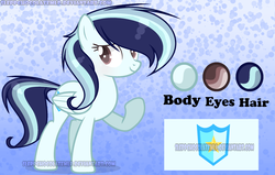 Size: 2320x1472 | Tagged: safe, artist:sleppchocolatemlp, oc, oc only, oc:blue ray, pegasus, pony, female, mare, offspring, parent:rainbow dash, parent:soarin', parents:soarindash, reference sheet, solo