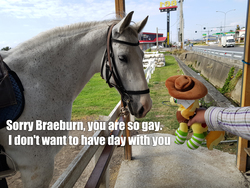 Size: 4032x3024 | Tagged: safe, artist:schwarz, braeburn, horse, human, g4, bridle, city, homophobia, irl, irl horse, offscreen character, photo, plushie, road, saddle, tack, toy