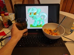 Size: 2526x1894 | Tagged: safe, lyra heartstrings, human, pony, g4, irl, offscreen character, photo, pov, waifu dinner