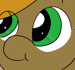 Size: 1935x1803 | Tagged: safe, artist:xxradskixx, oc, oc only, pony, big eyes, face, solo