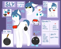 Size: 2828x2290 | Tagged: safe, artist:melpone, oc, oc only, oc:sly, earth pony, pony, bomb, goggles, high res, male, reference sheet, solo, stallion, weapon