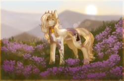 Size: 2900x1900 | Tagged: safe, artist:mewaluriarts, oc, oc only, earth pony, pony, commission, female, mare, solo