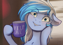 Size: 2456x1736 | Tagged: safe, artist:shiro-roo, oc, oc only, oc:falling skies, pony, chest fluff, female, floppy ears, freckles, grin, help me, looking at you, mare, mug, ponified, smiling, solo, wide eyes