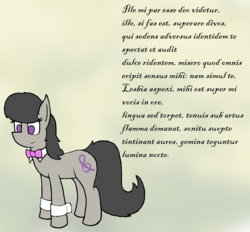 Size: 5600x5200 | Tagged: artist needed, source needed, safe, octavia melody, pony, g4, absurd resolution, bowtie, cuffs (clothes), female, latin, solo