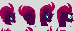 Size: 1694x720 | Tagged: safe, fizzlepop berrytwist, tempest shadow, g4, my little pony: the movie, broken horn, bust, concept art, expressions, eye scar, eyes closed, horn, portrait, scar, youtube link