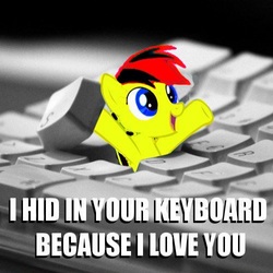Size: 500x500 | Tagged: safe, oc, oc only, oc:dasher, pegasus, pony, i hid in your keyboard, solo