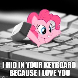 Size: 500x500 | Tagged: safe, pinkie pie, pony, g4, arms in the air, bronybait, cute, female, i hid in your keyboard, image macro, irl, keyboard, looking up, meme, open mouth, photo, pinkie being pinkie, ponies in real life, smiling, solo