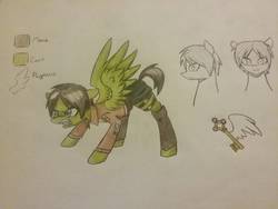 Size: 1288x966 | Tagged: safe, artist:ponime11, pegasus, pony, attack on titan, eren jaeger, male, ponified, solo, stallion, traditional art