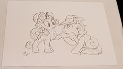 Size: 2048x1152 | Tagged: safe, artist:whitediamonds, braeburn, starlight glimmer, crystal pony, earth pony, pony, unicorn, g4, braeglimmer, clothes, cowboy hat, crack shipping, crystallized, duo, female, hat, male, pencil drawing, shipping, simple background, sketch, straight, traditional art, vest, white background