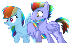 Size: 1024x612 | Tagged: safe, artist:sapphireartemis, bow hothoof, rainbow dash, pony, g4, beard, facial hair, simple background, transparent background, white outline