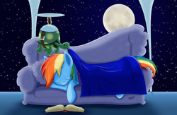 Size: 2745x1789 | Tagged: safe, artist:lifesharbinger, rainbow dash, tank, pegasus, pony, tortoise, g4, blanket, book, couch, cute, full moon, moon, night, sleeping, starry night, tucking in