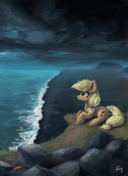 Size: 2500x3430 | Tagged: safe, artist:ami-gami, applejack, crab, earth pony, pony, g4, cloud, female, high res, mare, missing accessory, prone, rock, solo, water