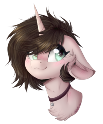 Size: 712x860 | Tagged: safe, artist:monogy, oc, oc only, oc:rae, pony, unicorn, bust, female, floppy ears, mare, portrait, simple background, solo, transparent background