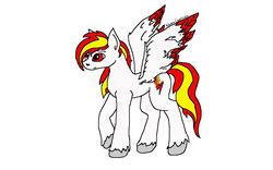 Size: 6400x4000 | Tagged: safe, anonymous artist, oc, oc only, oc:fiery lightning, pegasus, pony, colored wings, colored wingtips, simple background, solo, unshorn fetlocks, white background