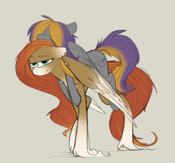 Size: 924x863 | Tagged: safe, artist:sinrar, oc, oc:sinrar, oc:wild spice, pegasus, pony, cute, folded wings, piercing, simple background, sketch, sleeping, unshorn fetlocks